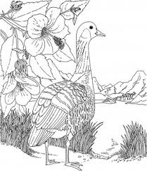 Barbie of Swan Lake Children Coloring Pages 4
